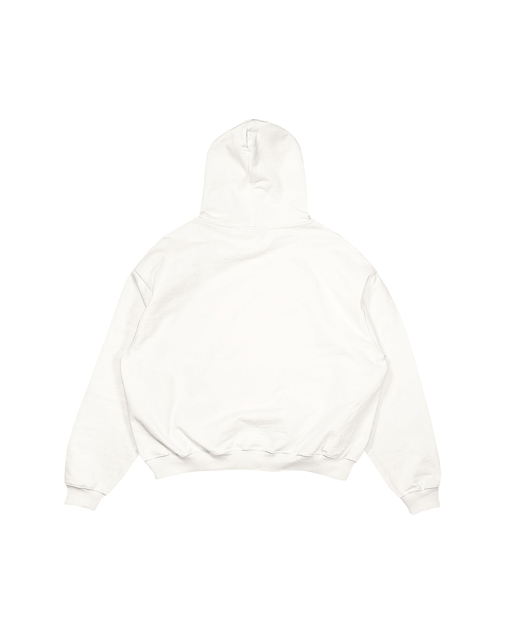 GRACE & LIGHT HOODIE